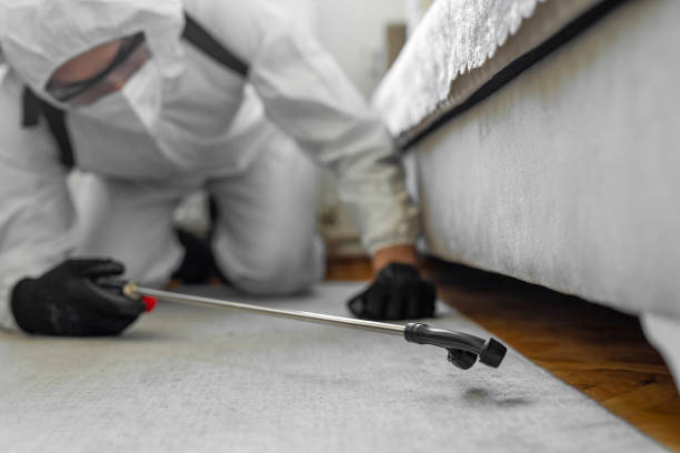 Professional Bed Bug Control technician working in Spalding County County, GA